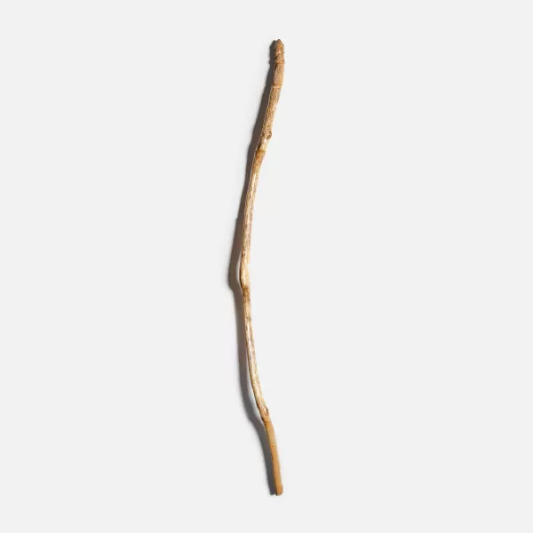 Sticks & Carvings Carved Walking Sticks By Jay Clasen Best Sale